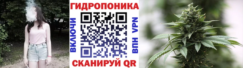 Бошки марихуана Bruce Banner Сегежа