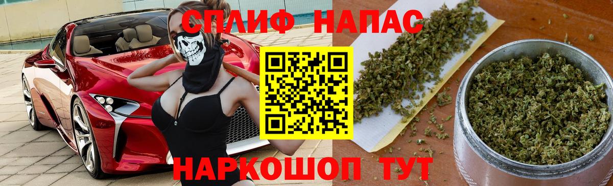Марихуана гибрид Сегежа